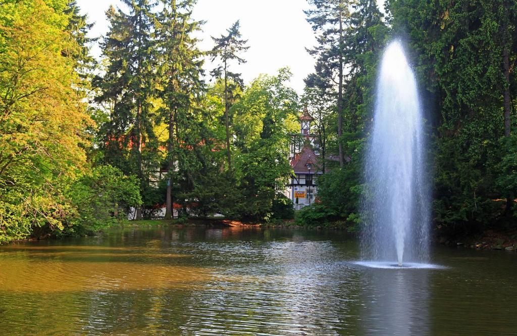 Bukowy Dworek ชตอฟนอ-สดรูย ภายนอก รูปภาพ